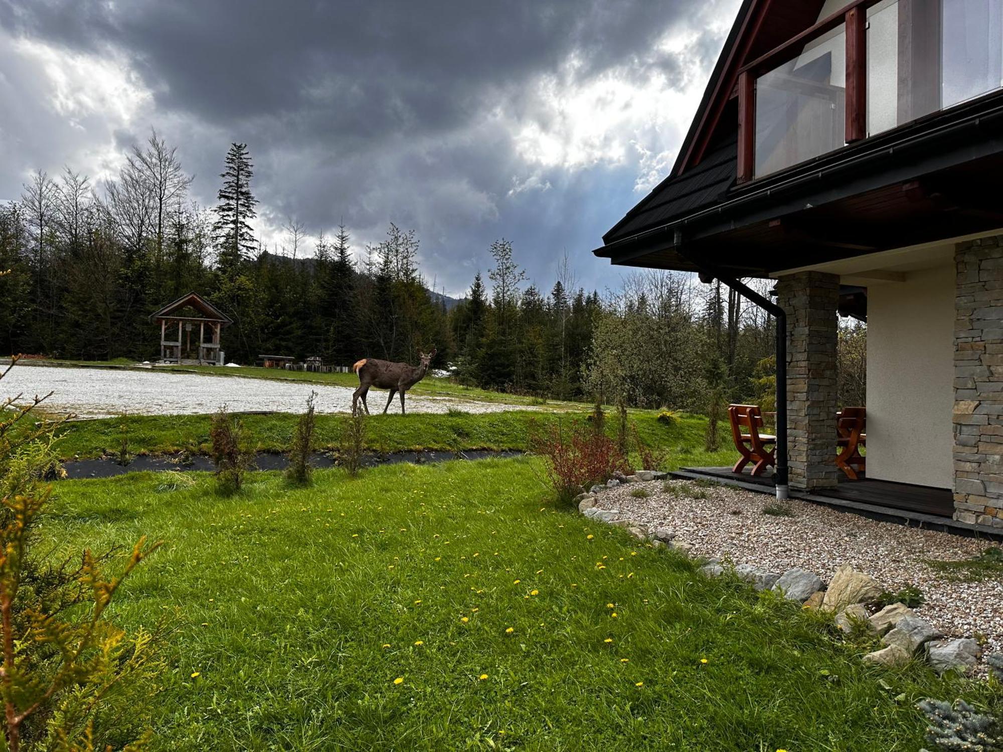 Nika Zakopane