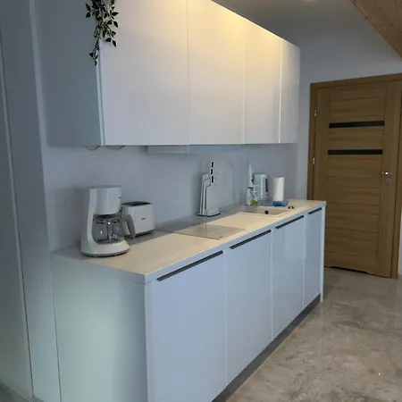 Apartamenty Willa Nika Zakopane Zewnętrze zdjęcie