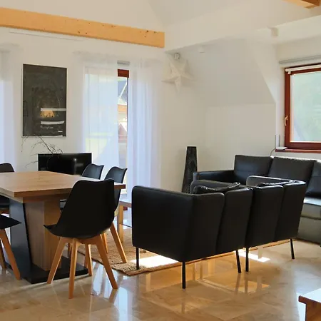 Apartamenty Willa Nika Zakopane Zewnętrze zdjęcie