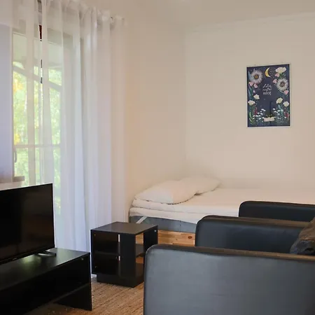 Apartamenty Willa Nika Zakopane Zewnętrze zdjęcie